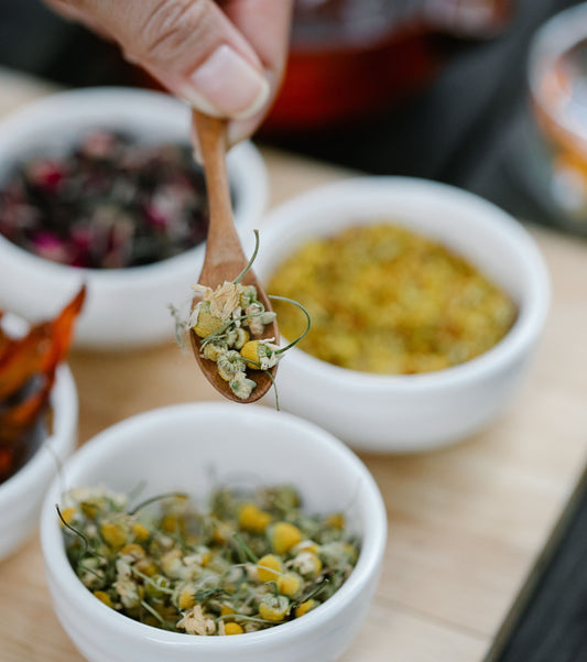 Erboristeria olistica a Milano: come scegliere il punto giusto per il tuo benessere naturale