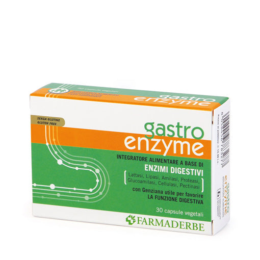 Gastro Enzyme